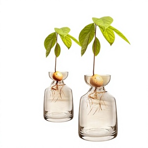 Jarrón de dos piezas para germinar semillas de aguacate - Cultive su propio árbol de aguacate. Maceta de vidrio única para amantes de la jardinería. Comience su cultivo. - Product Image 1
