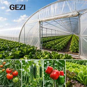 Película <span class=keywords><strong>de</strong></span> Polietileno Multicapa Antigoteo y Antivaho para Invernaderos, Aislamiento Térmico, Estabilizada con Protección UV para Agricultura - Product Image 6