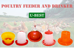 อุปกรณ์เลี้ยงไก่เนื้อ/<span class=keywords><strong>ไก่</strong></span>พ่อแม่พันธุ์ ราคาประหยัด ระบบอัตโนมัติ สำหรับฟาร์มสัตว์<span class=keywords><strong>ปีก</strong></span>  ที่ให้อาหารและน้ำไก่ ทนทาน - Product Image 4