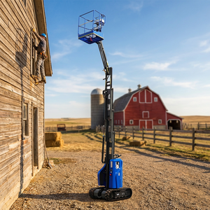 Plataforma Aérea sobre Orugas de 10.65m y 200kg con Elevador de Mástil para Sitios Exteriores Fangosos, OEM Disponible - Product Image 3
