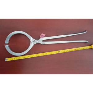 Probador de Cascos para Caballos de Acero Inoxidable de Alta Calidad, Reutilizable, Ortopédico, Veterinario, Ecológico, JAKTIVE - Product Image 6