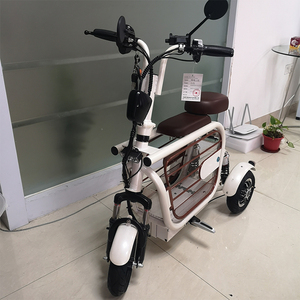 Nouveau Design <span class=keywords><strong>2022</strong></span> Pet <span class=keywords><strong>Scooter</strong></span> <span class=keywords><strong>Trois</strong></span> <span class=keywords><strong>Roues</strong></span> Vélo Électrique 3 Roue Tricycle - Product Image 1