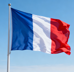 Vlag Fabrikant Relatiegeschenk Reclame Vlag Maatwerk 3X5 Voet Custom Vlag Bedrijfsevenement Alle Nationale Vlaggen - Product Image 6