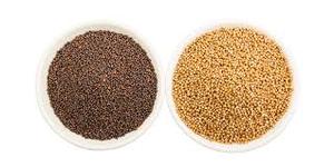 Semillas de mostaza amarillas y negras secas de alta calidad, granos crudos naturales, alimentos saludables, semillas de mostaza para agricultura y consumo - Product Image 4