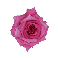 10cm Kepala Bunga Mawar Buatan Tangan dari Sutra Warna Burgundy Hitam Biru untuk Hari Ibu Natal Dekorasi Mobil Pernikahan DIY Bunga