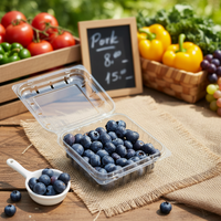 Biologisch afbreekbare, transparante plastic punnet voor supermarkten, voor verse groenten en frambozen, 125g, 250g, 500g.