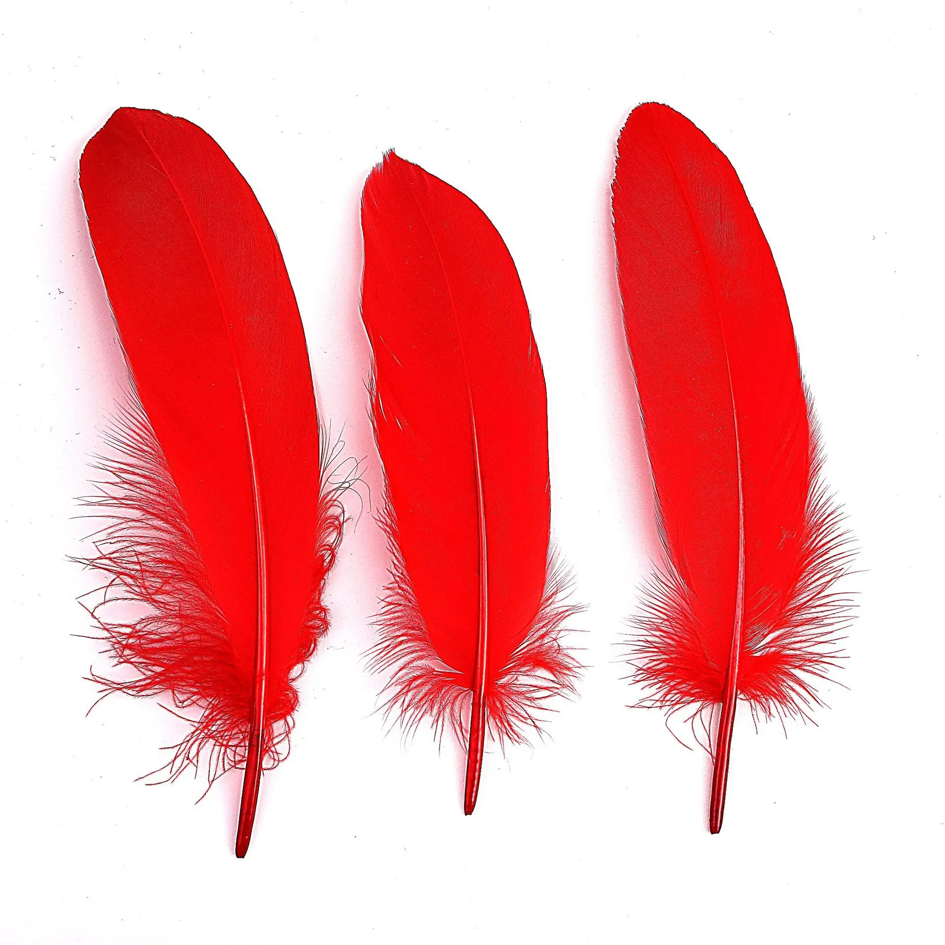 15-20cm 10 개 장식, 코스프레, 배드민턴 및 셔틀콕 원시, DIY 공예 화려한 깃털을 위해 염색 된 거위 깃털