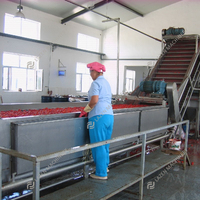 ISO 9001/CE Professionele Industriële 10~600 Ton Per Dag Multifunctionele Geautomatiseerde Tomatenconservenlijn