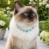 Collier pour animaux de compagnie en cuir et cristal, luxueux, durable, classique, simple, réglable et confortable pour chiens et chats
