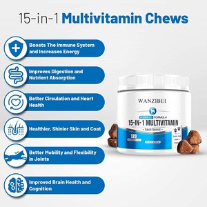 All-In-1สุนัขวิตามินในชีวิตประจำวันอาหารเสริมวิตามินสำหรับสุนัขที่มีโปรไบโอติก,Omega-3s, Glucosamine สำหรับสัตว์เลี้ยงมากกว่าสุขภาพ - Product Image 3