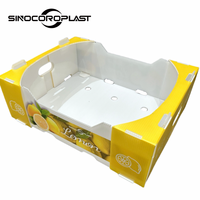 Emballage en plastique PP Corflute Boîte d'emballage de stockage en polypropylène ondulé en plastique citron fruits et légumes