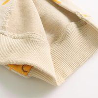 Combinaison à manches longues avec imprimé lion mignon, tenue pour nouveau-né garçon, printemps-automne