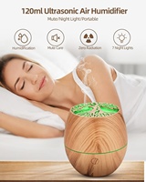 Diffuseur d'huiles essentielles portable mini USB silencieux en gros, écologique, en plastique, pour la maison, humidificateur aromatique LED, 1 an