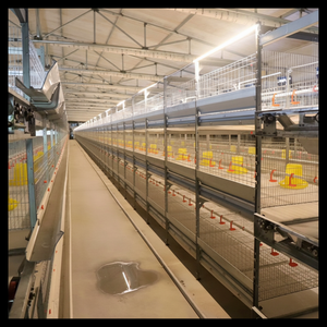 Trous de ventilation de base Bac d'alimentation facile à nettoyer Convient aux petits passe-temps de cottage Élevant des cages à poulets de chair à usage quotidien - Product Image 1