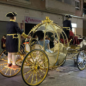Chariot de chevaux romantique pour mariage et visites touristiques / Magnifique chariot de chevaux princesse citrouille - Product Image 3