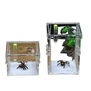 Boîte d'alimentation de Reptile en acrylique, taille personnalisable avec logo, faible quantité minimale de commande pour Terrarium, pièces