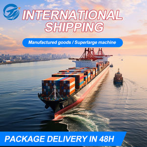 Servicio logístico exprés LCL puerta a puerta de China Ocean Freight Forwarder DDP/DDU en León Puebla <span class=keywords><strong>Veracruz</strong></span> México - Product Image 5