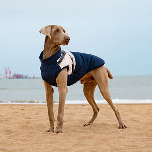 Venta al por mayor de chaquetas de lujo para perros, chaleco con capucha de fábrica, ropa para mascotas, abrigo impermeable para perros, abrigo de invierno aislado - Product Image 1