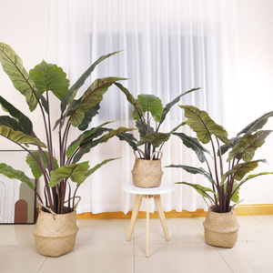 Planta Artificial de Alocasia Sanderiana, Árbol de Taro Arcoíris Nórdico Grande, Árbol Artificial de Plástico en Maceta para Decoración del Hogar - Product Image 2