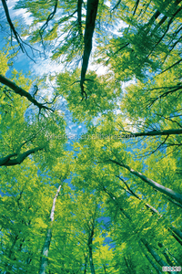 Papier peint de décoration de la maison 3D, pièces, plafond, ciel de forêt, quatre saisons - Product Image 2