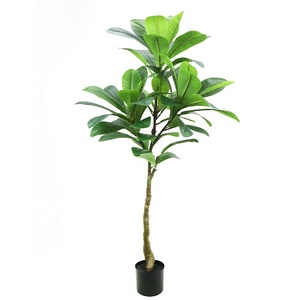 Cung cấp cây loquat nhân tạo cao 180cm với nồi Nhựa - Product Image 4