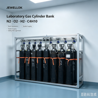 JEWELLOK Réseau de Gaz Université Centre de Recherche Laboratoire d'Analyse N2 O2 H2 C4H10 Installation Clé en Main