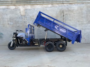 Tricycle à moteur à 9 roues à 2 essieux avec benne basculante de type ouvert, moteur refroidi par eau de 350 cm3, puissance de 1000 W, poids à vide de 500 kg - Product Image 6