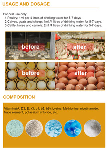 Fabrika fiyat Multivitamin ve Amino asit Oral çözüm 1L hayvancılık ve kanatlı ağırlığı Gainer sıvı sağlıklı büyümesini teşvik - Product Image 4