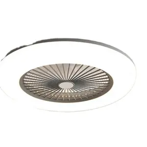 Luxury Chất Lượng Cao Hiện Đại Luminous Ventiateur De Plafond LED Quạt Trần Với Ánh Sáng Cơ Thể Đèn Kim Loại Động Cơ