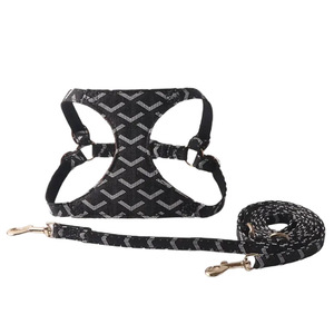 Conjunto de Arnés y Correa para Perros Pequeños, Malla Transpirable, Gamuza de PU, Directo de Fábrica - Product Image 2