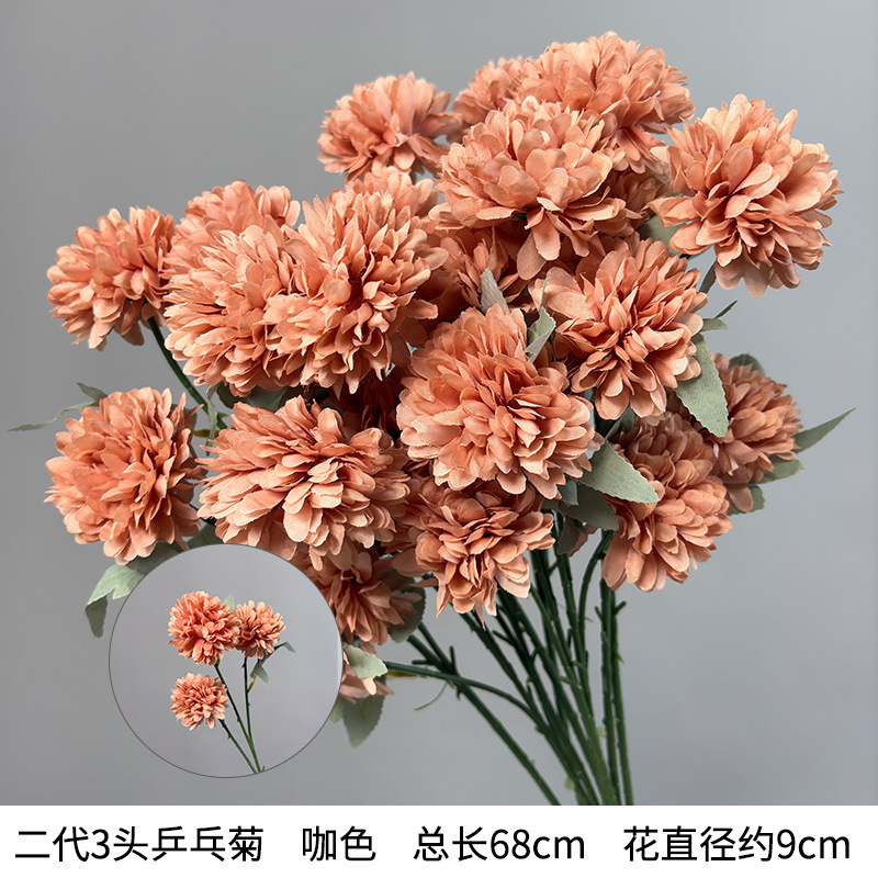 Chrysanthème ping-pong à 3 têtes de deuxième génération