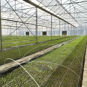 Hydroponic sera çok açıklıklı yeşil ev tarım diğer sera otomatik havalandırma tropikal sera