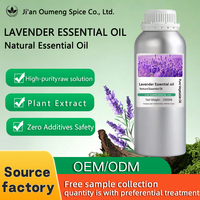 Huile Essentielle de Lavande Pure pour Massage Corporel, Soins de la Peau et des Cheveux, Aromathérapie, Matière Première en Vrac, Fournisseur OEM ODM