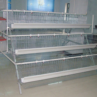 Système d'alimentation automatique pour cages à poules pondeuses QIANQIN, en fil d'acier à faible teneur en carbone, équipement d'élevage avicole, cage en batterie pour poules pondeuses 5+