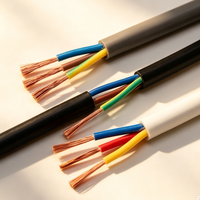 Kupferummanteltes Aluminiumkabel RVV 3-adrig Flexibles Kabel OEM ODM PVC/XLPE Isoliertes Steuerkabel