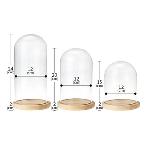 Bán Buôn Tay Thổi Cao <span class=keywords><strong>Borosilicate</strong></span> Glass Dome Rose Trong Glass Dome Với Cơ Sở - Product Image 1