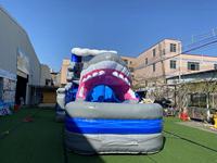 Toboggan aquatique gonflable géant de qualité commerciale pour enfants et adultes, idéal pour les aires de jeux extérieures - Prix de gros