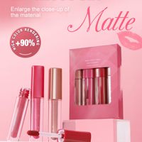 Kit de Rouge à Lèvres, Gloss et Crayon à Lèvres en Gros, Marque Privée, Ensemble de Lèvres Mat Imperméable Longue Durée, Cosmétiques pour les Lèvres