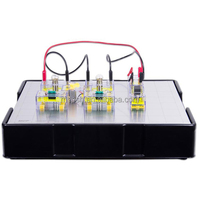SISTEMA DE ENTRENAMIENTO DE CIRCUITOS ELECTRÓNICOS BÁSICOS PARA AUTOMÓVILES MCP F1-7