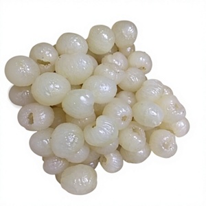 Frozen Longan <b>Balls</b> BQF Whole 100% Natural KMI Brand for Export Bulk Packaging - Product Image 2
