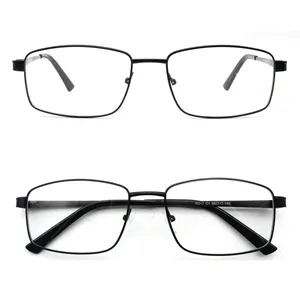 Wenzhou Manufactures High Quality 2021 Fashion Design Big größe Metal Optical Frames Glasses dünne metall optische rahmen