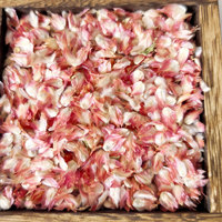 Confettis de fleurs biodégradables, pétales de fleurs de Globe Amarante rouge séchées, Gomphrena Globosa pour mariage