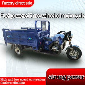 Heavy Agricultural Open Cargo Tricycle Thickened Steel Bed Single Cylinder 4-stroke <b>Gasoline</b> Motorized High Payload Capacity 43 - Product Image 2