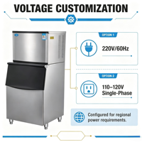 Machine à glaçons commerciale Bmeiqile MQ-250 sans givre, à propane, avec une longue durée de vie