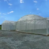 cultiver des tentes agricoles champignons film plastique tunnel à effet de  serre structure à vendre