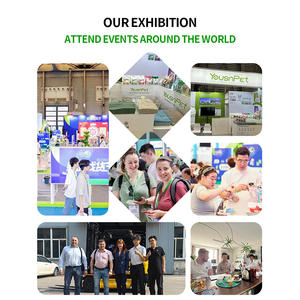 Lettiera per Gatti Premium in Argilla Sferica 4kg, Sabbia Agglomerante in Bentonite Frantumata 10L con Proprietà Deodoranti - Product Image 4