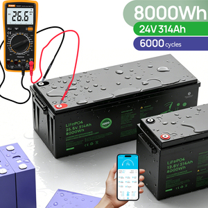 Batterie solaire au lithium-ion 314ah 24v, pack de batteries 5kwh 8kwh, Bateria avec BMS intégré, directement de l'usine - Product Image 1