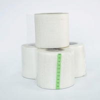 Ruban en fibre de verre résistant aux alcalis, tissé sergé, pour matériaux muraux, service de découpe, blanc