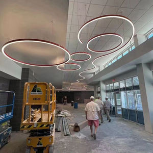 50x75mm Custom Shapes <strong>Pendant</strong> LED <strong>Light</strong> Luminous <strong>Pendant</strong> Modern Circular Chandelier Led <strong>Pendant</strong> <strong>Light</strong> - Product Image 1
