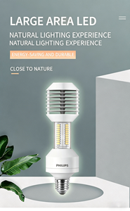 Farola LED Philips de 70~80V 35W 3000K 4000K, Reemplaza la Lámpara Tradicional de <span class=keywords><strong>Sodio</strong></span> - Product Image 2
